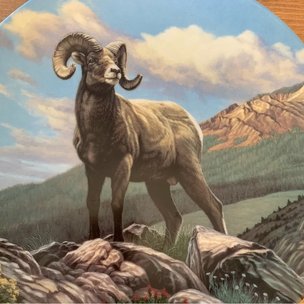 The Big Horn Sheep Decorative Plate by Paul Krapf from Dominion China Ltd.